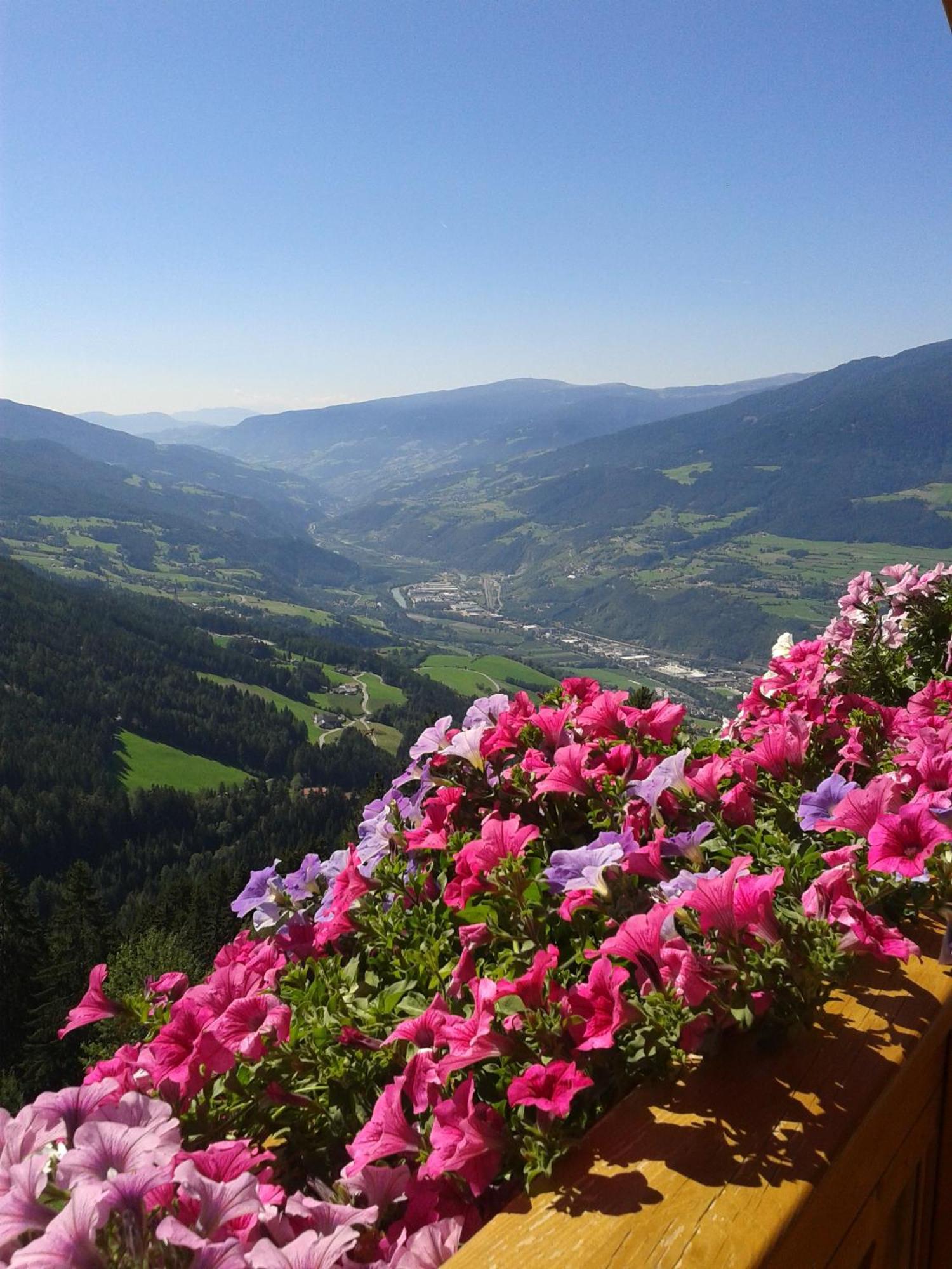 Kaserhof Wandern- Alleinlage - Ruhig- Top Aussicht Bressanone Bagian luar foto